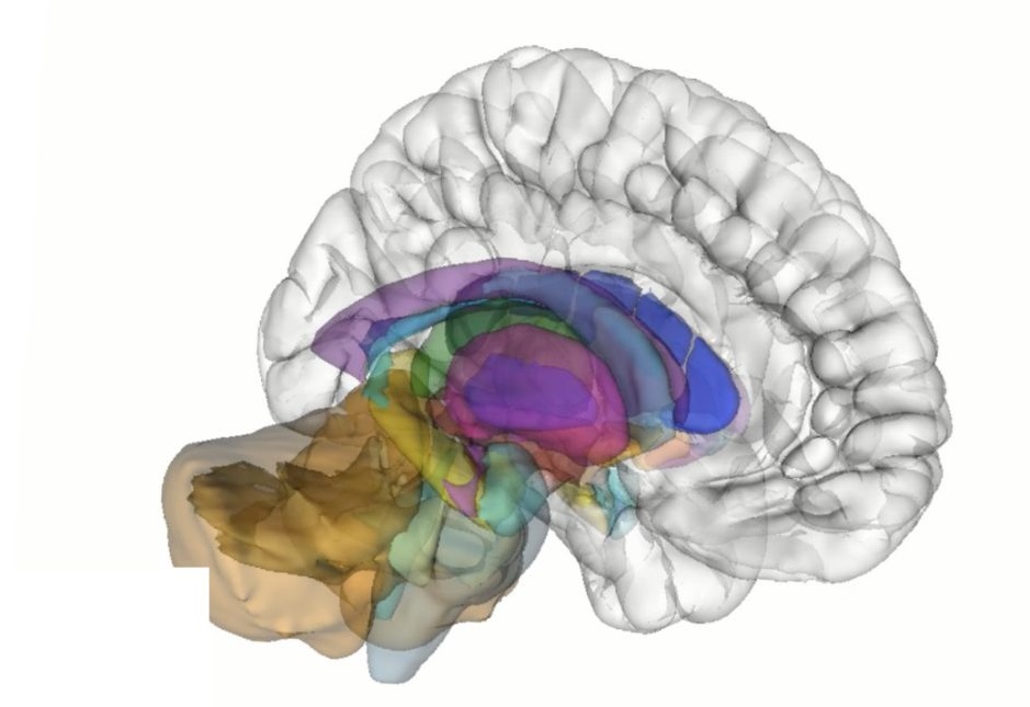 نیروی اراده