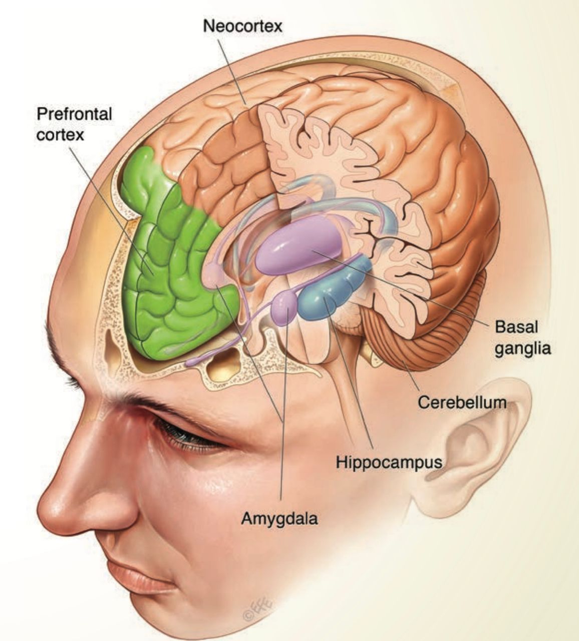 با مراجع چه کنم؟